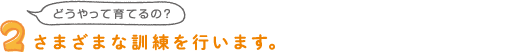 さまざまな訓練を行ないます。